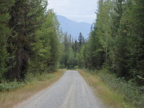 GDMBR, southbound approaching Cold Creek, MT.